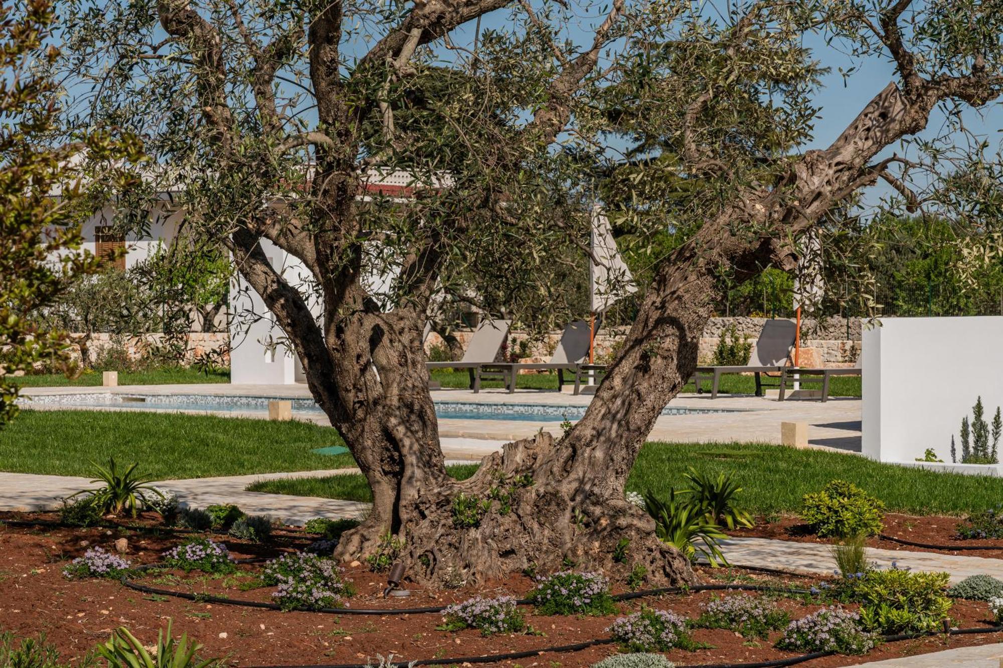 Trullo Jale - Boutique Apartments أوستوني المظهر الخارجي الصورة